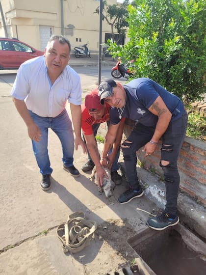 Una cuadrilla trabajó en el lugar para rescatar al perro.