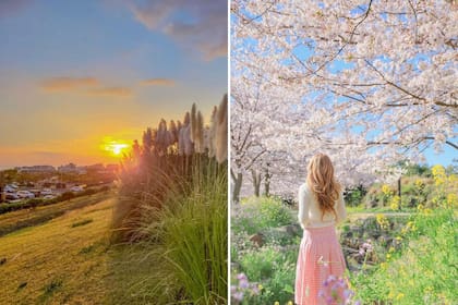 Una curiosidad de Jeju Island es que está dirigida por habitantes locales y no por políticos de la mainland.