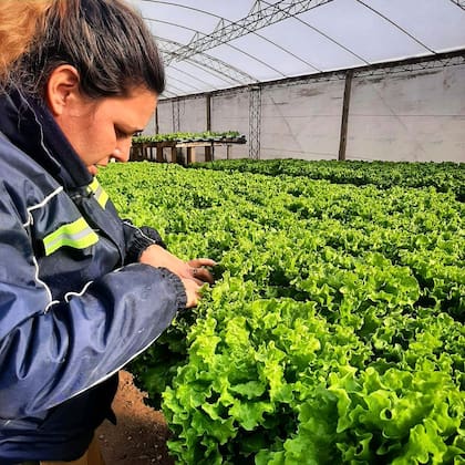 Una de las actividades productivas que hacen quienes viven en Akamasoa es el cultivo de verduras y frutas