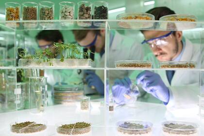 Una de las actividades que podía comenzar a estar eximida de algunos impuestos era la biotecnología