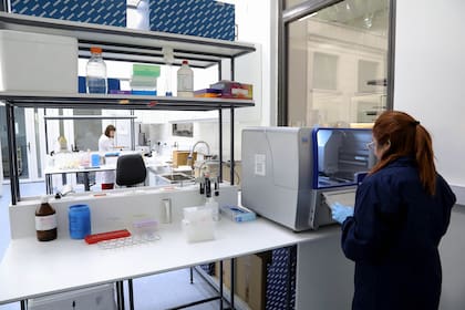 Una de las áreas de trabajo nuevas en Anlis Malbran