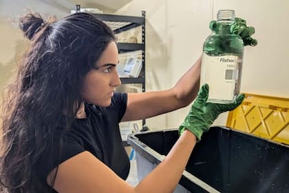 Una de las biólogas de vida silvestre de la UF analiza muestras de agua durante la fase de prueba del estudio. (Lourdes Mederos)