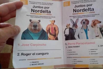 Una de las boletas que tuvo a los carpinchos como protagonistas