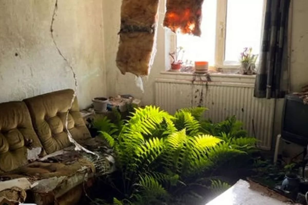 Una de las casa de Stroud sorprendió a todos con su interior