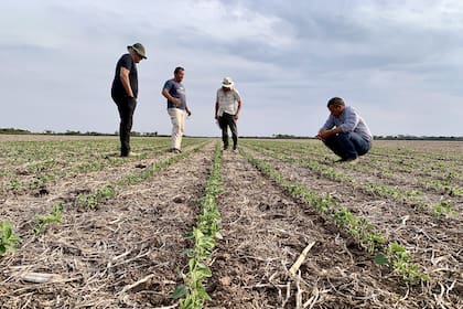 “Una de las claves en el armado de equipos eficientes es la delegación en todos los sentidos”, afirma Martín Gana