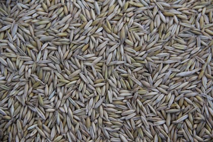 Una de las comidas que se recomienda para ingerir este mineral son los cereales en forma de grano entero