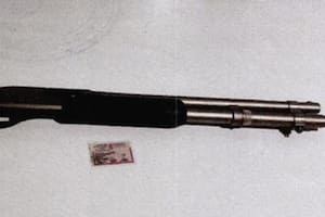 Lo denunciaron por acoso sexual y ahora le secuestraron armas que había transferido a su hijo