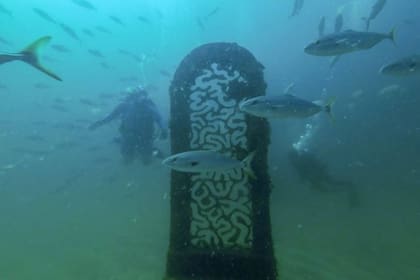 Una de las esculturas del Museo Subacuático de Florida