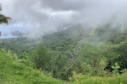 Una de las grandes estructuras fue hallada debajo de las Islas Marquesas, en la Polinesia Francesa, en el Océano Pacífico