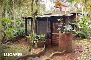 El lodge en plena selva y sobre el río que propone desconexión y mucha naturaleza