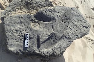 Una de las huellas con "zapatillas" que llamó la atención de los investigadores