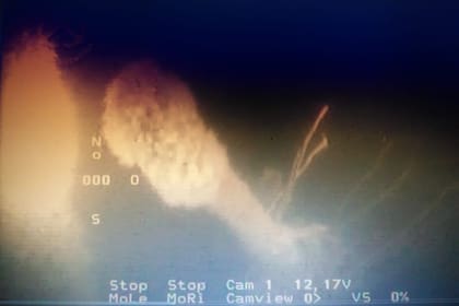 Una de las imágenes obtenidas mediante un ROV (Remotely Operated Vehicle) de la Prefectura Naval Argentina donde se vería el periscopio del submarino