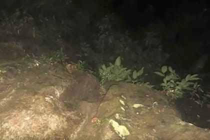 Una de las imágenes que se sacó a la medianoche antes de desaparecer