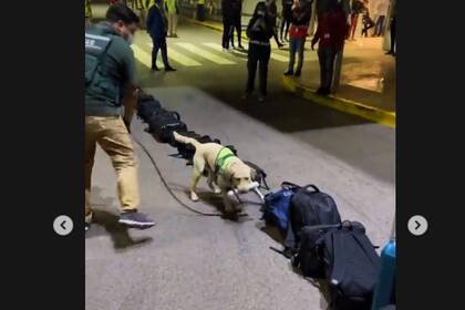 Una de las imágenes que subió Dibu Martínez en sus redes, con uno de los perros de la seguridad aeroportuaria chilena