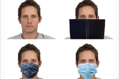 Una de las imágenes utilizadas para que los participantes del estudio eligieran el rostro más atractivo. Fuente: Captura Cognitive Research Journal
