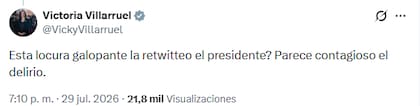 Una de las interacciones de Villarruel en X