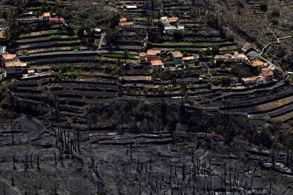 Una de las laderas de la isla de la gomera, en las Canarias (España), totalmente quemada