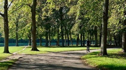 Una de las mejores maneras de explorar los terrenos es en bicicleta (Foto: