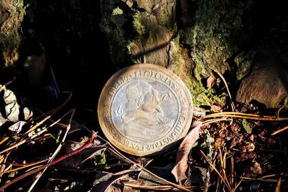Una de las monedas de plata desenterradas en el bosque