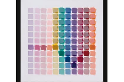 Una de las obras de Espinosa exhibidas en el Macba