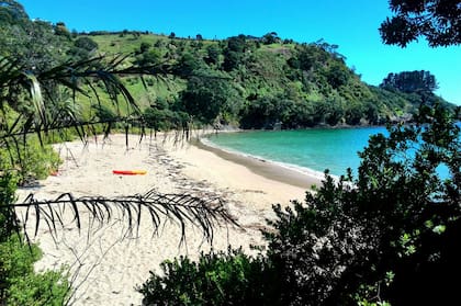 Una de las playas paradisíacas ubicadas en la isla Waiheke, en el golfo de Hauraki, a 35 minutos de viaje por ferry desde Auckland, en Nueva Zelanda.