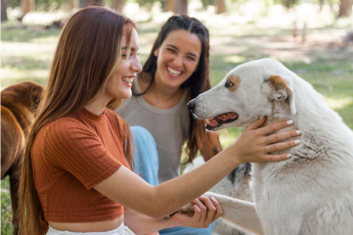 Una de las razones más comunes por las que un perro fija su mirada en su dueño es para captar su atención (Foto de carácter ilustrativa: Freepik)
