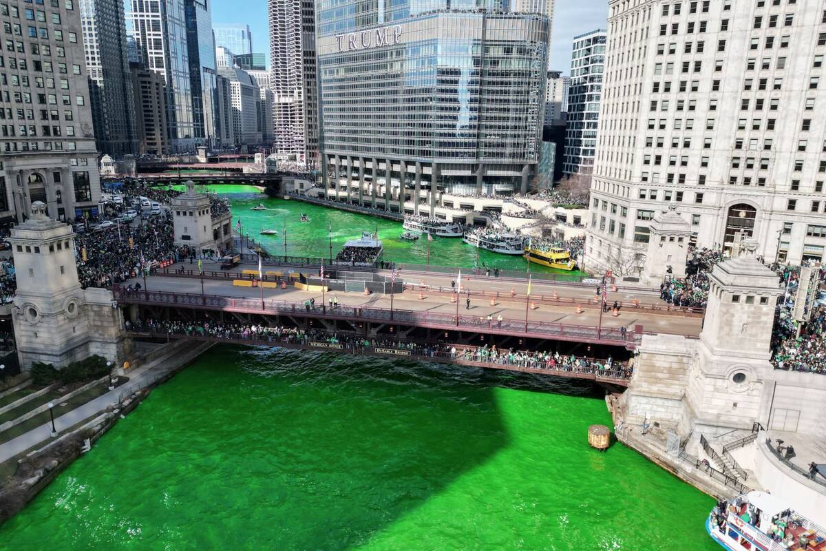 Una de las tradiciones más icónicas de Chicago en San Patricio es esparcir tintes ecológicos en el río Chicago hasta que el agua cambie su color a verde