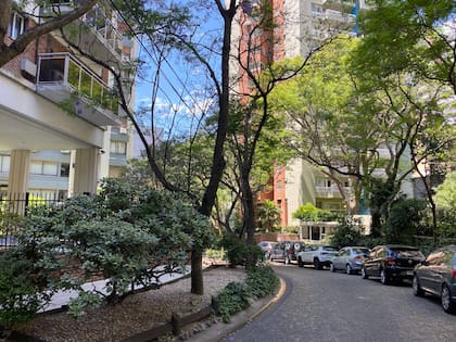 Una de las zonas más exclusivas y consolidadas del corredor norte: La Isla de Olivos