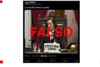 No, Victoria Villarruel no posé en el estrado del Senado con un cartel que decía “Cristina libre”