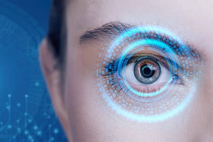 Una dieta balanceada es clave para obtener los nutrientes necesarios que favorecen el correcto desempeño del sistema visual