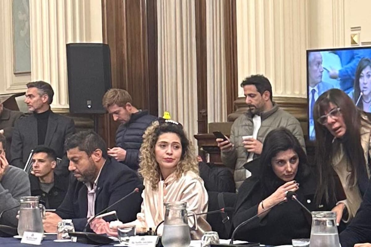 Una diputada libertaria fue a reunión de comisión con un patito de Milei en la cabeza
