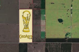 La sorprendente Copa del Mundo en honor a la Selección Argentina y a Messi