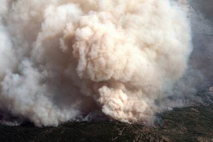 Una enorme columna de humo tomada por un satélite, en la localidad de Chico, en California