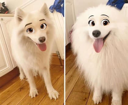Una entusiasta de los perros estuvo entre las primeras en popularizar el filtro