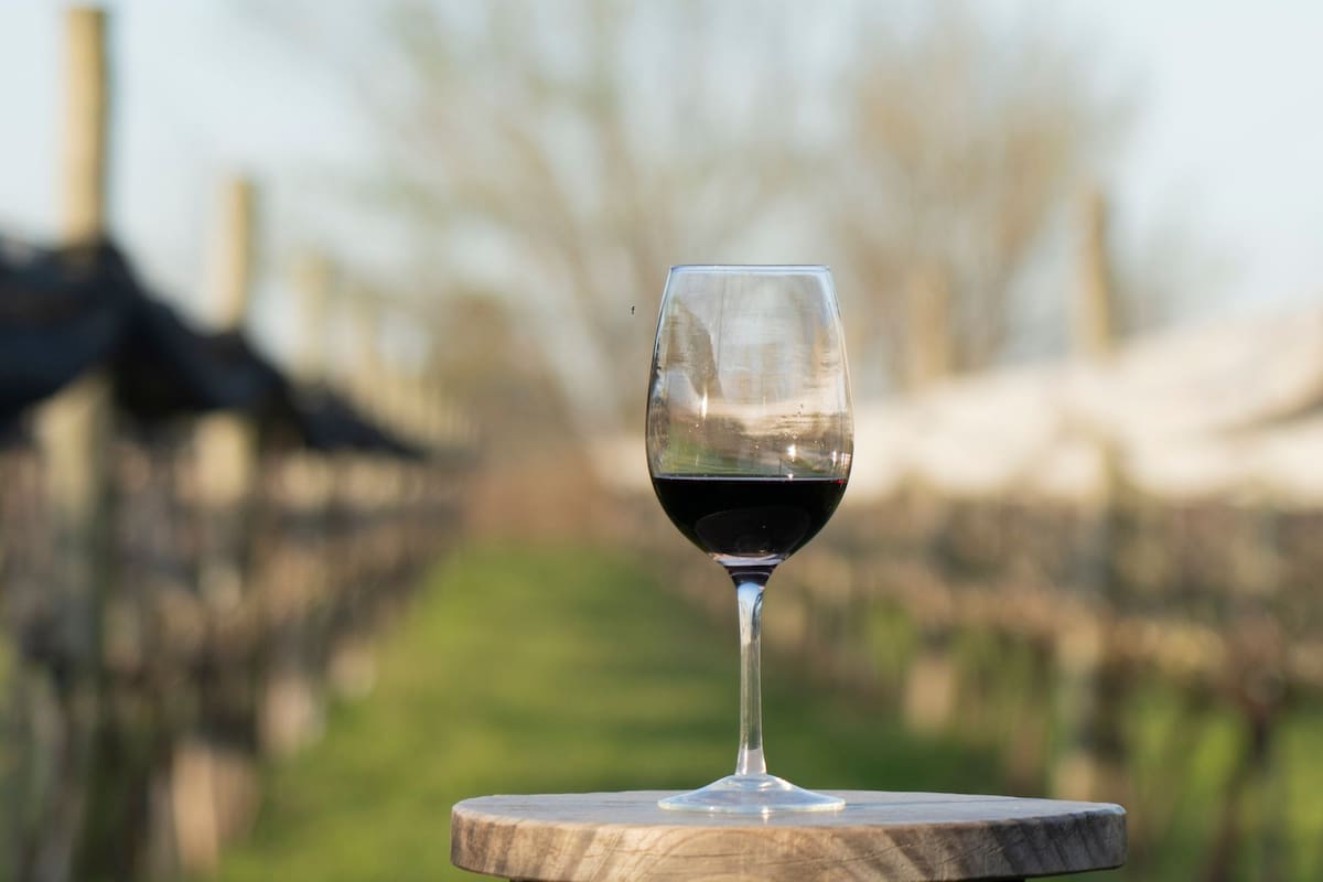 Una escapada ideal para disfrutar sin alejarse demasiado de la ciudad y disfrutar del buen vino