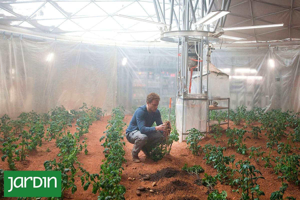 Una escena de The Martian (Misión Rescate), la película en que Matt Damon hace agricultura espacial