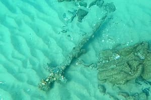 Una espada cruzada de más de 800 años de antigüedad fue encontrada en el mar de Haifa