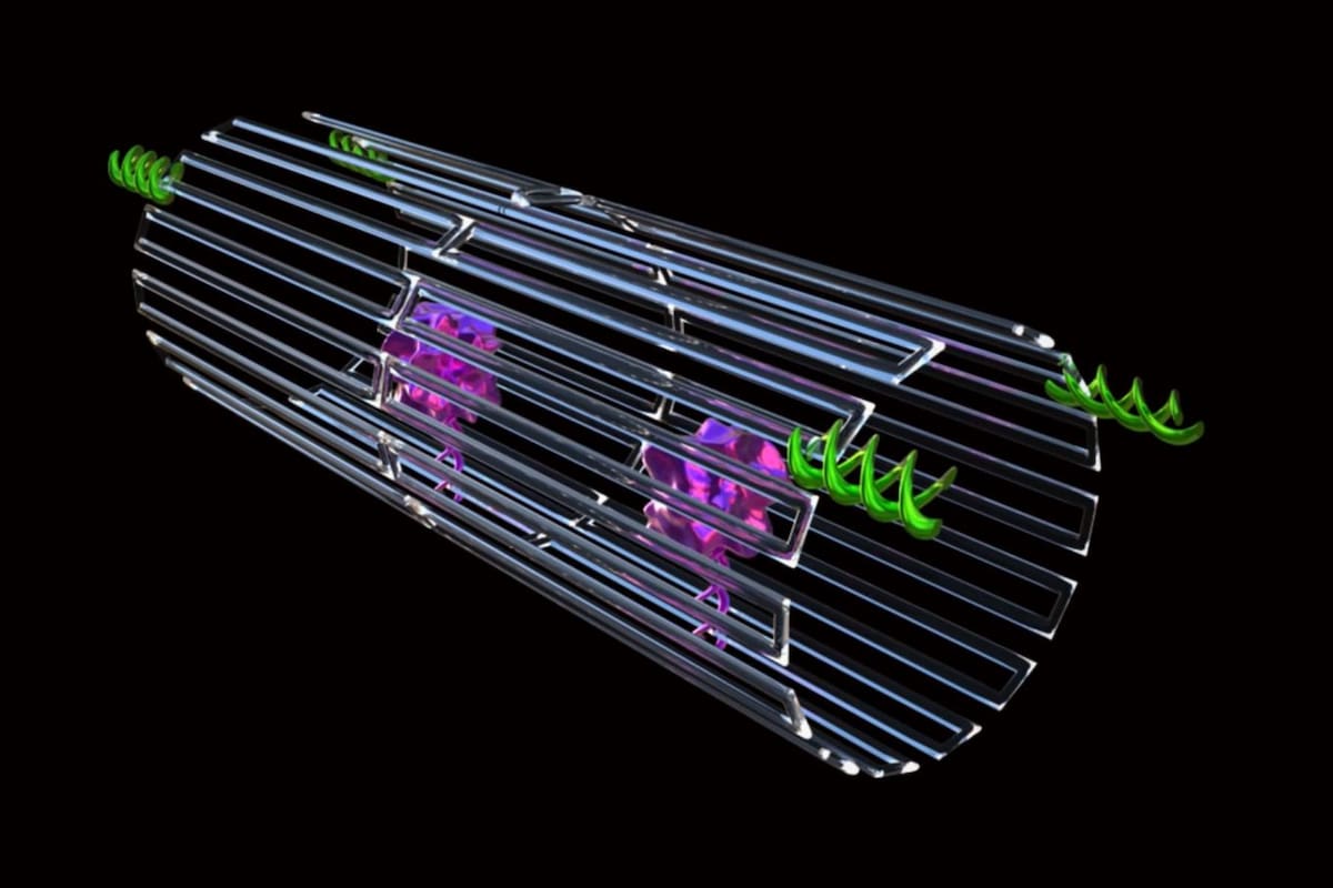 Una estructura de ADN que se pliega como un origami lleva unas enzimas que coagulan la sangre que alimenta a un tumor; sólo reaccionan en su presencia, lo que permitiría una técnica anti cáncer muy segura
