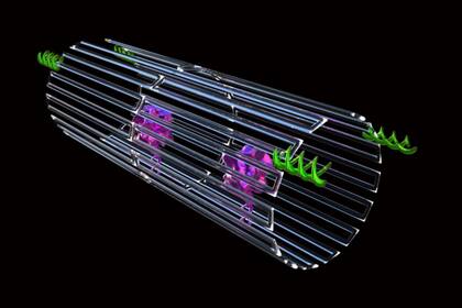 Una estructura de ADN que se pliega como un origami lleva unas enzimas que coagulan la sangre que alimenta a un tumor; sólo reaccionan en su presencia, lo que permitiría una técnica anti cáncer muy segura