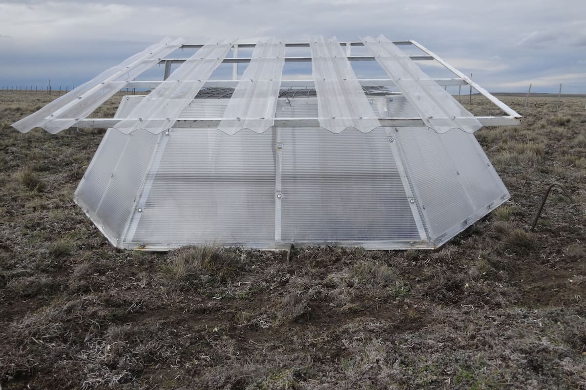 Una estructura instalada en el Campo Experimental Potrok Aike del INTA Santa Cruz para el ensayo