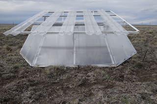 Simulan el clima de 2040 para saber qué pasará con los pastizales