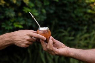 El mate podría retrasar el Parkinson, según un estudio de la UBA