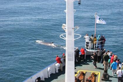 Una expedición a bordo del barco