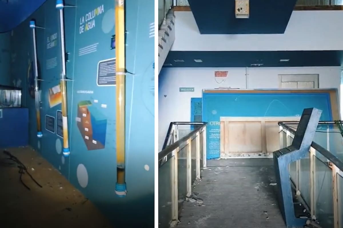 Una exploradora urbana encontró varios animales muertos dentro de un acuario abandonado y se hizo viral