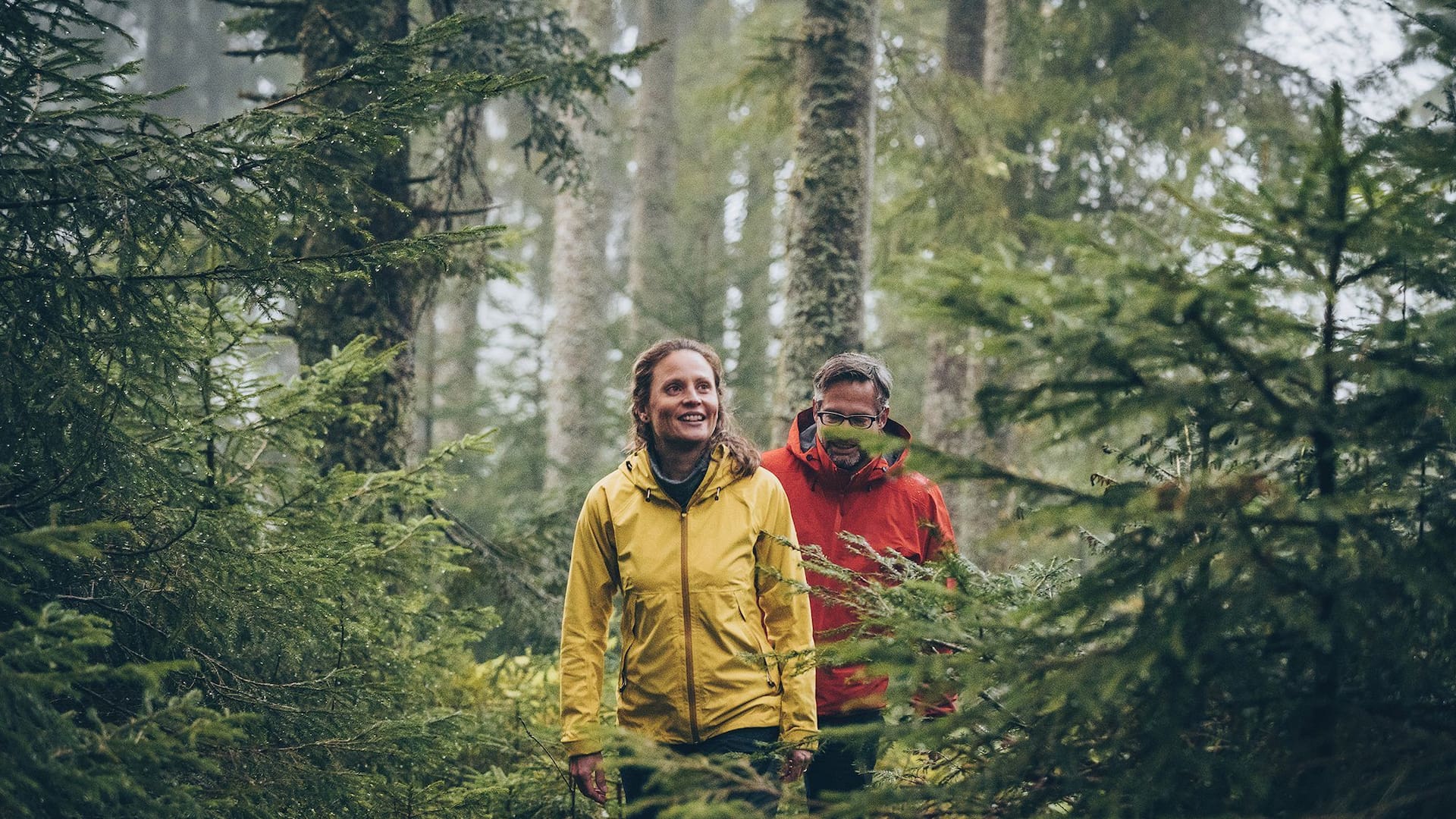 Una exposición intensa a la naturaleza no solo hace “sentir bien”, sino que produce cambios medibles y consistentes en la actividad cerebral, el estres y la atención