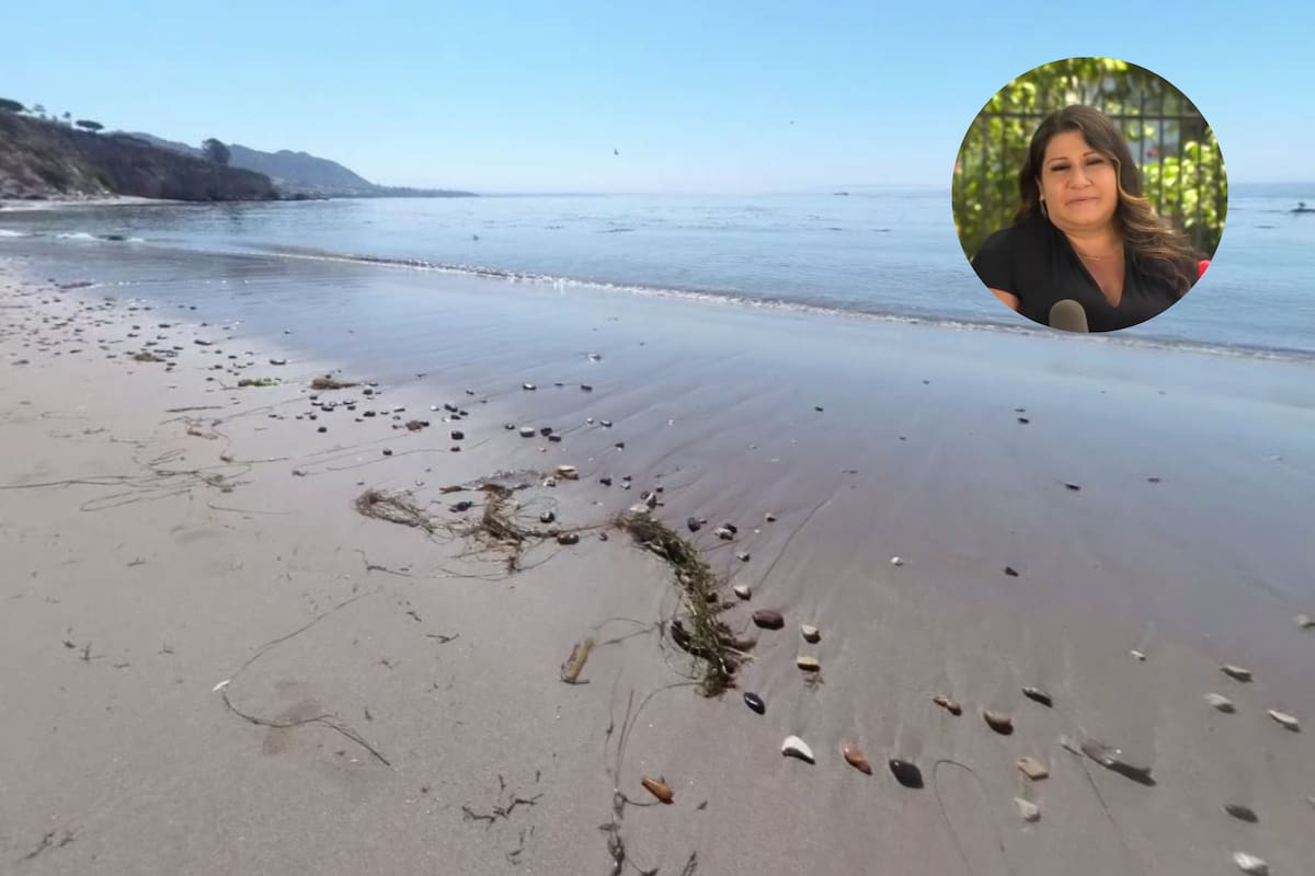 Una familia vacacionaba en California cuando dos integrantes tomaron una especie protegida y fueron multados por 88 mil dólares