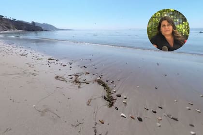 Una familia vacacionaba en California cuando dos integrantes tomaron una especie protegida y fueron multados por 88 mil dólares