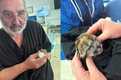 Una familia voluntaria colabora en su contención inicial. (Parque Nacional Nahuel Huapi)