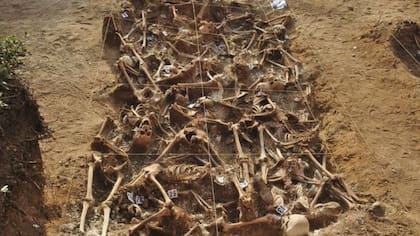 Una fosa común en Estepar, Burgos
