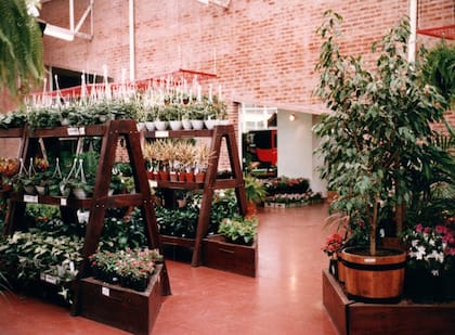 Una foto de archivo muestra cómo se veía el vivero en 1988